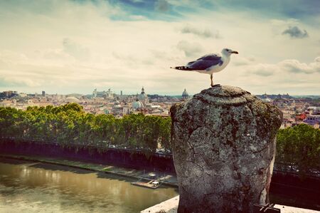 Vintage panorama of Rome, Italy. As seen from Castel Sant'Angelo. Bird resting on stone statueの写真素材
