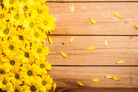Fresh spring flowers and petals on rustic wood. Place for text on Valentine's Day, Mother's Day etc....