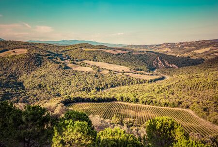 Tuscany landscape with green meadows, vineyards, forests on picturesque hills. Italy. Aerial viewの写真素材