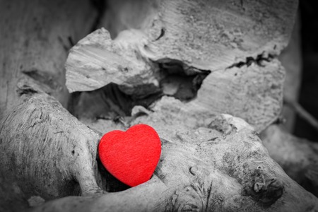 Red heart in a tree trunk and branches. Romantic symbol of love, Valentine's Day. Black and white against red.の写真素材