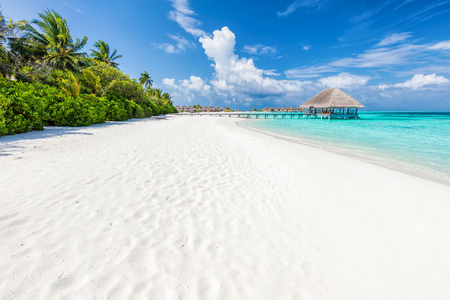 Wide sandy beach on a tropical island in Maldives. Coconut palms and water lodge on Indian Ocean.の写真素材