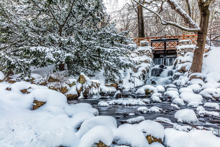 Winter park with small bridge over small stream. Park Oliwski, Gdansk, Polandの写真素材