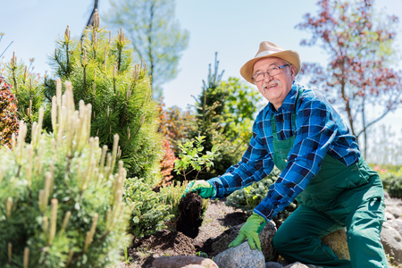 Senior gardener digging in a garden. Preparing soil for a new plant. Gardening concept.の写真素材