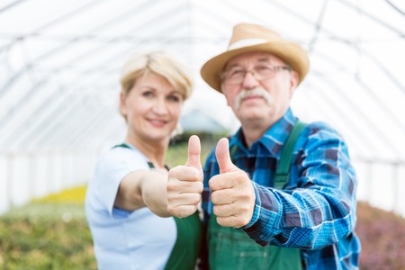 Gardeners standing in a nursery greenhouse showing thumbs up. Professional and cheerful gardening experts.の写真素材