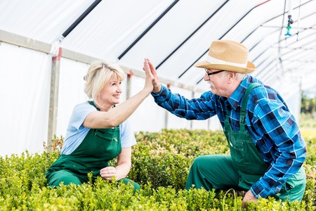 Successful gardeners team doing high five gesture at work in a greenhouse. Work concept.の写真素材