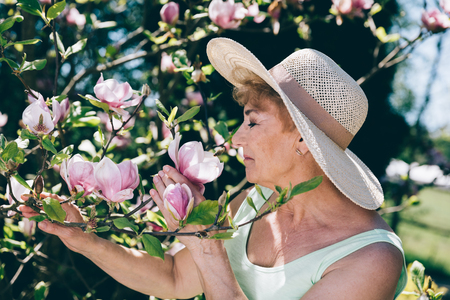 Senior woman smelling flowers on a tree in the garden. Summer activities.の写真素材