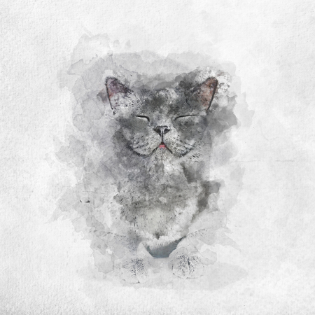 Watercolor painting of smiling British Shorthair cat. Happiness and satisfaction.の写真素材