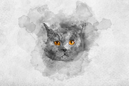 Cute British shorthair cat's watercolor portrait. Purebred domestic animal. Artistic painting.の写真素材