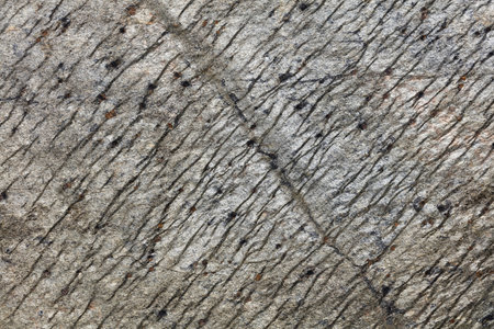 Natural rock, stone background. Close-up, very detailed. Super big resolution