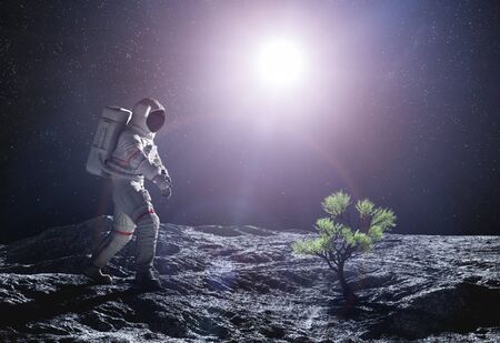 Astronaut exploring an alien planet. Green plant growing. Space colonization and travel of the future concept. 3D Illustration.の写真素材