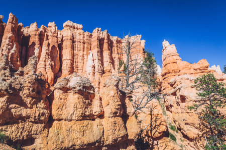 Bryce Canyon, Utah, USA with its hoodoos geological structures