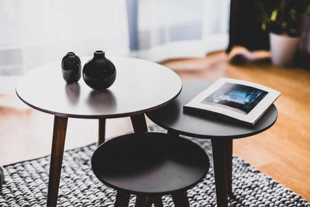 Table with decors a living room in a modern apartment for rent. Interior designの写真素材
