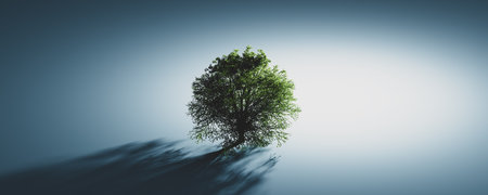 Green lonely tree. Nature background, single light and shadow. 3D renderの写真素材