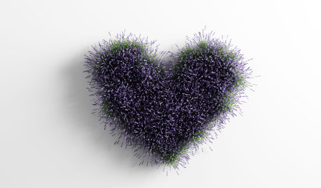 Lavender flowers in heart shape on white background. Concepts of love, Valentine's day, eco...
