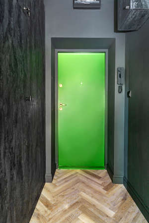 Corridor with green door. Interior designの写真素材