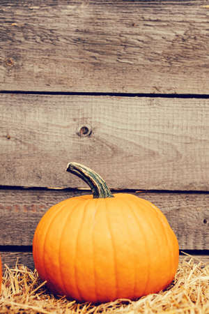Halloween pumpkin on hay and wooden wall. Halloween and Thanksgiving themeの写真素材