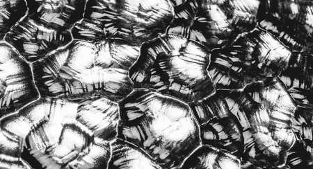 Decorative glass plate background. Black glassy decor close-upの写真素材