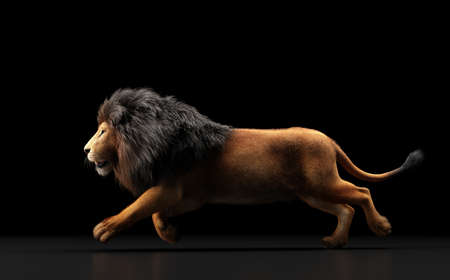 Lion running on black. 3D illustrationの写真素材
