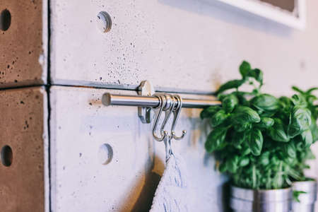 Herbs in pots on kitchen hanger, rack. Concrete wall interior designの写真素材