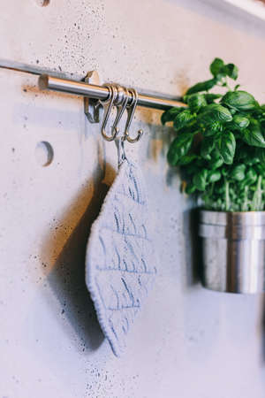 Herbs in pots on kitchen hanger, rack. Concrete wall interior designの写真素材