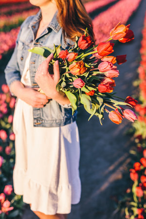 Woman with flowers bouquet on tulip field in spring. sunset lightの写真素材