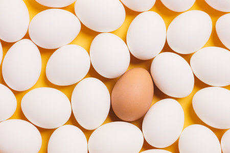White eggs with single brown egg on yellow backgroundの写真素材