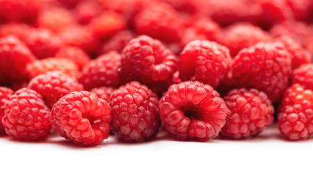 Fresh picked organic raspberries close-up.