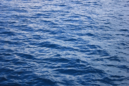 the saeの写真素材