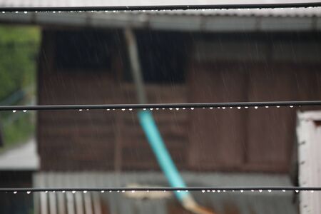 Drops of water on the gridの写真素材