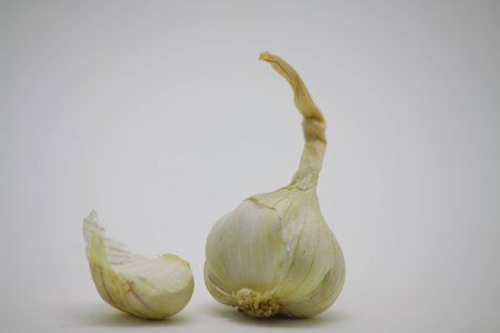 Cook with garlicの写真素材