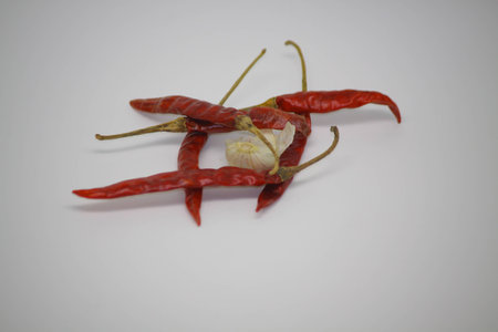 Dried on background retro.の写真素材