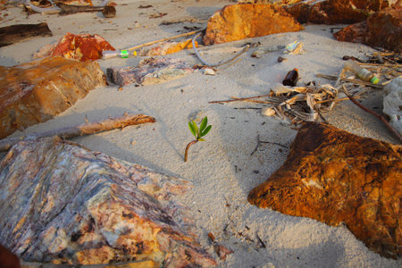 Garbage and trash on the beach among the rocks.の写真素材