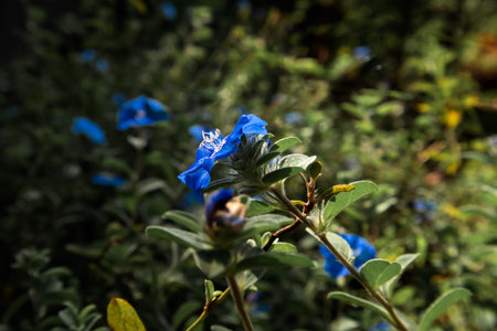 Shot of flowers and little plants in nature