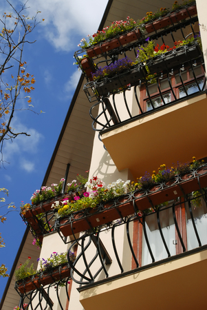 Beautiful small balconies, colorful flowersの写真素材