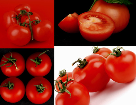 Beautiful ripe red tomatoes on a white backgroundの写真素材