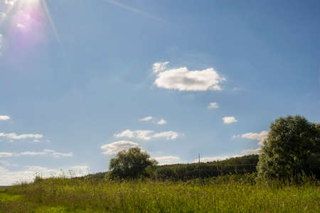 Beautiful view of colorful fields and meadowsの写真素材