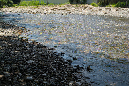 Beautiful day at the river, gray stones