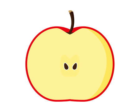 Apple vector illustration . fruitsのイラスト素材