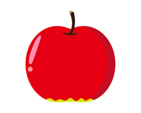 Apple vector illustration . fruitsのイラスト素材