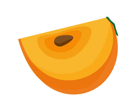 Persimmon vector illustration, autumn fruitのイラスト素材
