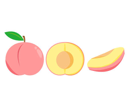 Peach vector illustration , Autumn fruitsのイラスト素材