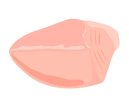 Vector illustration of chicken .のイラスト素材