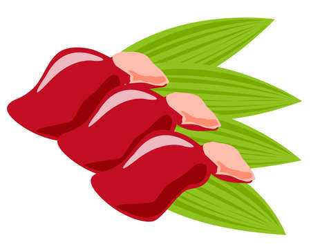 vector fresh chicken liver sketch illustration .のイラスト素材