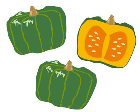 Pumpkin vector illustration, fresh vegetablesのイラスト素材
