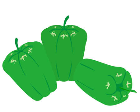 Bell pepper vector illustration, paprikaのイラスト素材