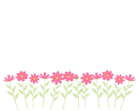 Colorful cosmos flower frame . Autumn cherry blossom message cardのイラスト素材