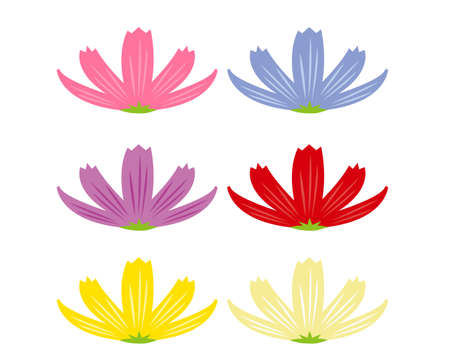 Vector illustration of cosmos flowers blooming in autumn .のイラスト素材