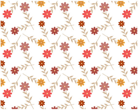Seamless pattern of cosmos flowers. Vector illustration of floral background