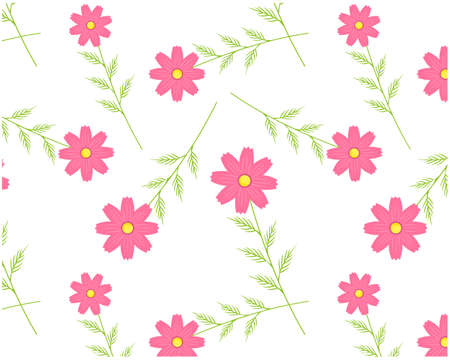 Seamless pattern of cosmos flowers. Vector illustration of floral backgroundのイラスト素材