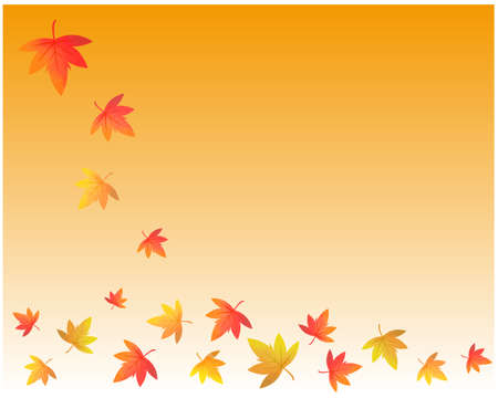 Red Japanese maple leaves on white backrgound.のイラスト素材